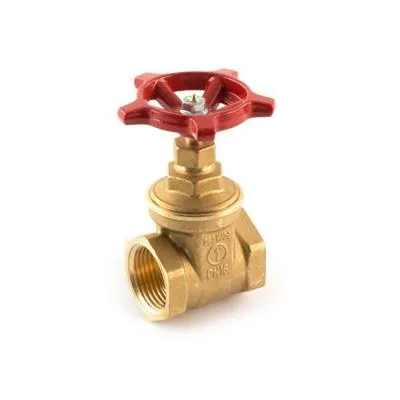 1" Female Iron British Standard Gatevalve