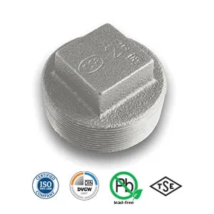 1" Galvanised Square Head Plug Tube/Pipe Fitting EN10242