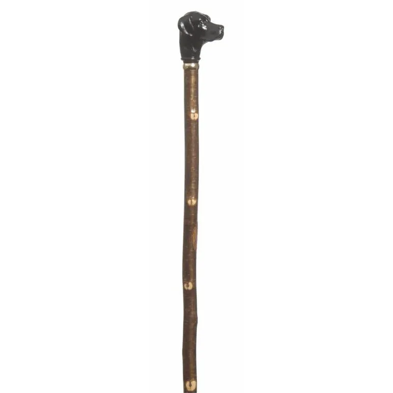Classic Canes Labrador Retriever Black Hazel Long Cane
