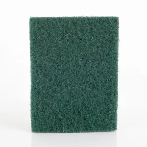 Eco Caterers Small Heavy Duty Scourer