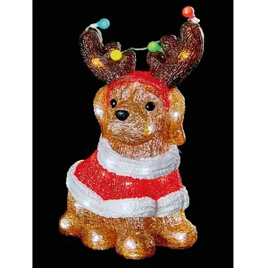 Premier Lit Christmas Dog Party Lights33cm